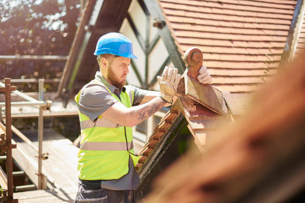 Roof Gutter Cleaning in Mccord, OK